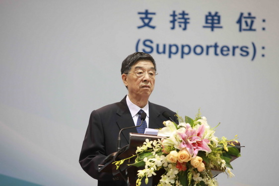 Wang Chunzheng, Executive Vice Chairman, CCIEE